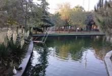 پارک ملت قزوین | عکس: مهدی ترکمان اسدی