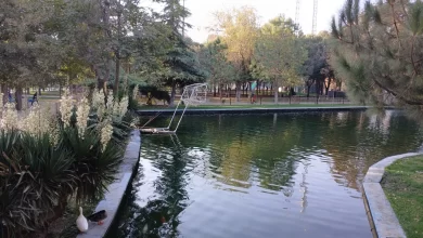 پارک ملت قزوین | عکس: مهدی ترکمان اسدی