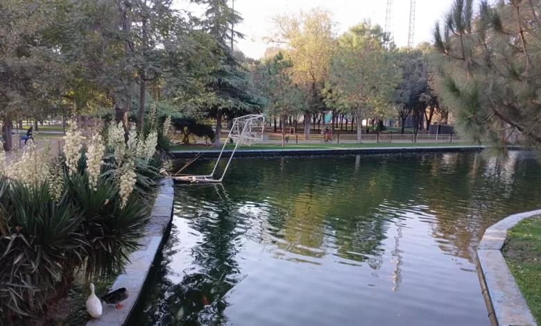 پارک ملت قزوین | عکس: مهدی ترکمان اسدی